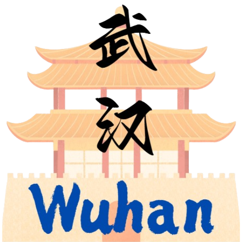 Wuhan hospitals & sightseeing - medical tourism China